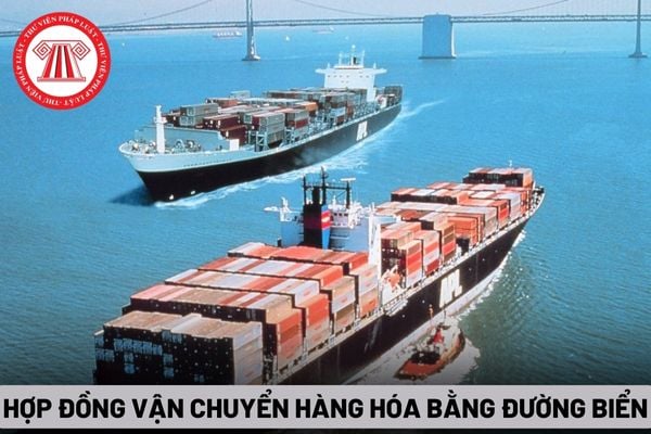 Hợp đồng vận chuyển hàng hóa bằng đường biển