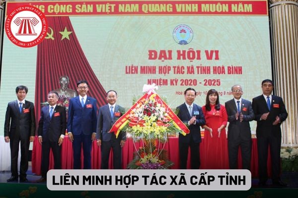 Liên minh Hợp tác xã cấp tỉnh