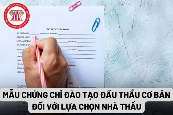 Mẫu chứng chỉ đào tạo đấu thầu cơ bản đối với lựa chọn nhà thầu