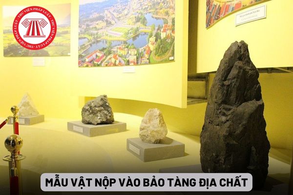 Mẫu vật nộp vào Bảo tàng Địa chất