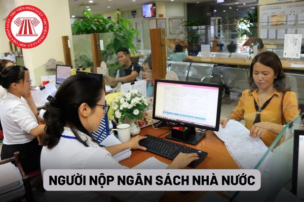 Người nộp ngân sách nhà nước