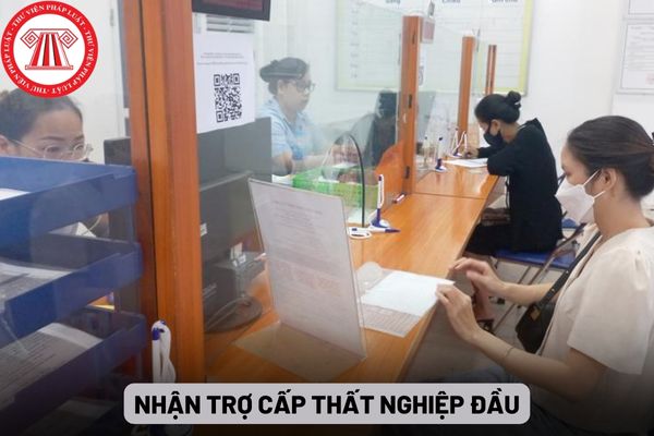 Nhận trợ cấp thất nghiệp lần đầu