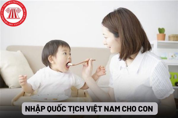 Nhập quốc tịch Việt Nam cho con