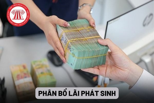 Phân bổ lãi phát sinh