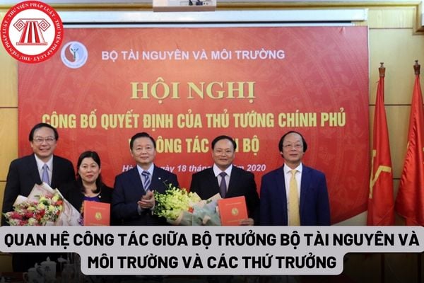 Quan hệ công tác giữa Bộ trưởng Bộ Tài nguyên và Môi trường và các Thứ trưởng