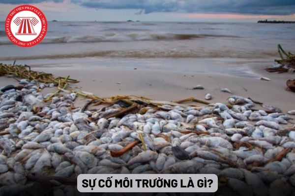 Sự cố môi trường là gì?