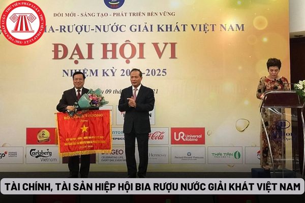 Tài chính, tài sản Hiệp hội Bia Rượu Nước giải khát Việt Nam