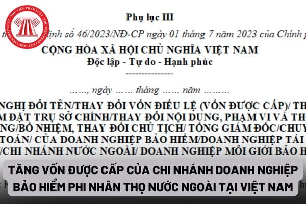 Đơn đề nghị tăng vốn được cấp của chi nhánh doanh nghiệp bảo hiểm phi nhân thọ nước ngoài tại Việt Nam