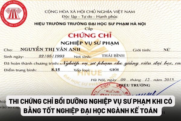 Bồi dưỡng nghiệp vụ sư phạm