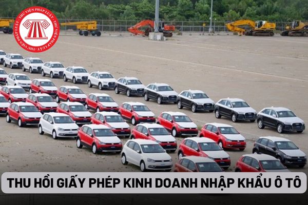 Thu hồi Giấy phép kinh doanh nhập khẩu ô tô