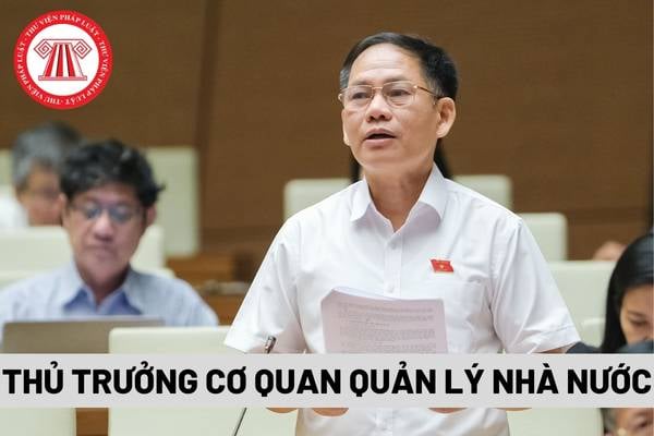 Thủ trưởng cơ quan quản lý nhà nước