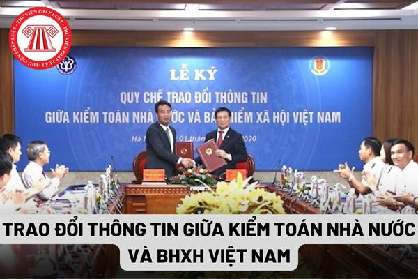 Trao đổi thông tin giữa Kiểm toán nhà nước và Bảo hiểm xã hội Việt Nam