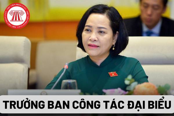 Trưởng Ban Công tác đại biểu