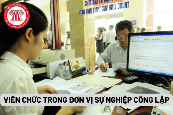 Viên chức trong đơn vị sự nghiệp công lập