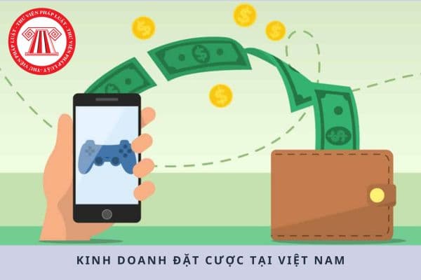 Pháp luật