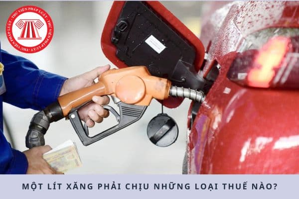Pháp luật