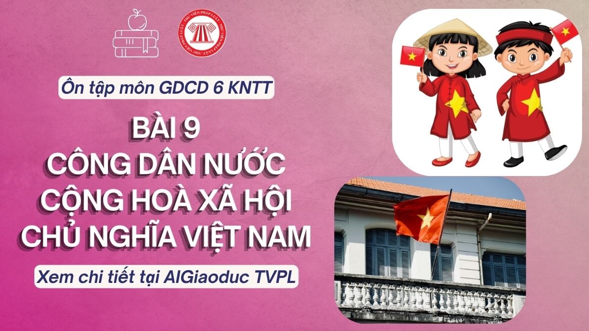 Pháp luật