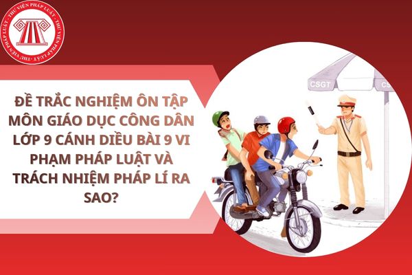 Pháp luật