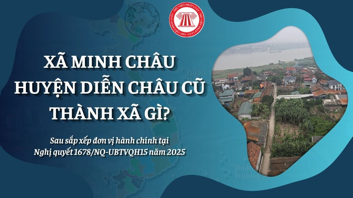 Pháp luật