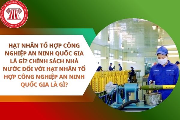 Pháp luật