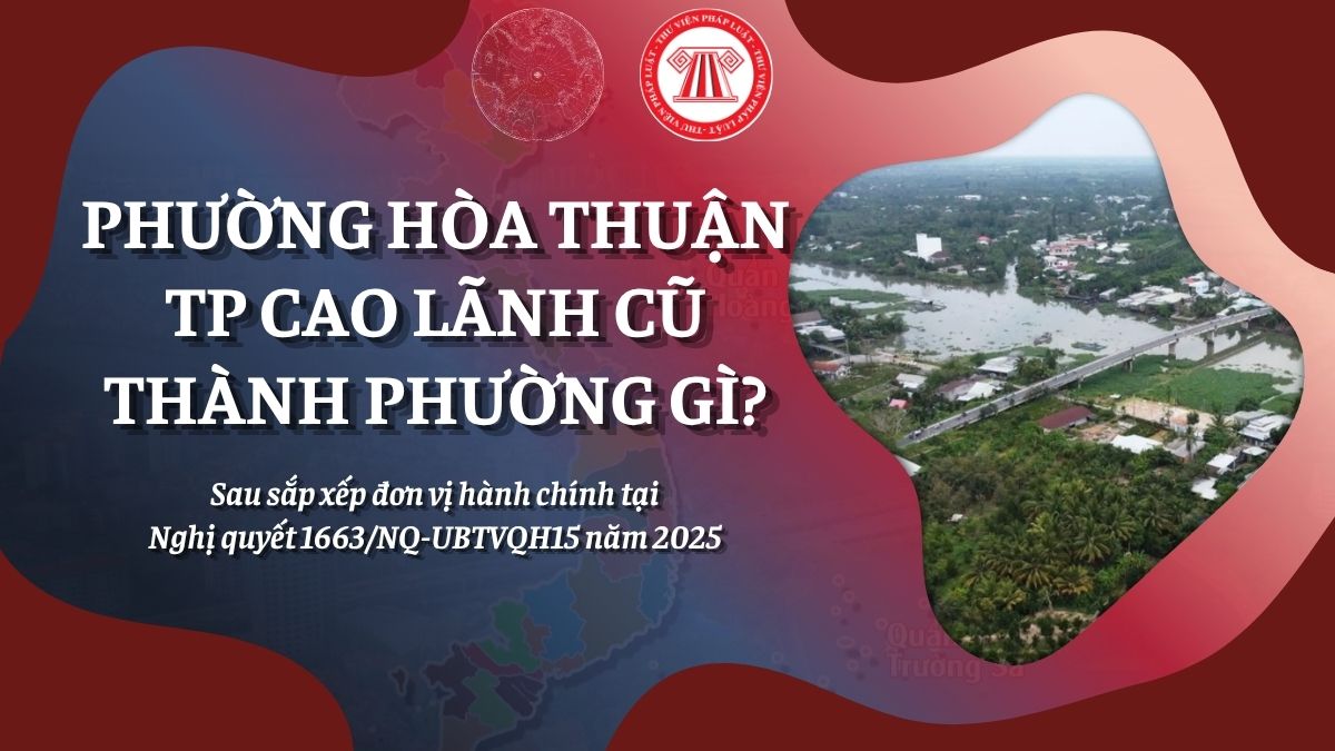 Pháp luật
