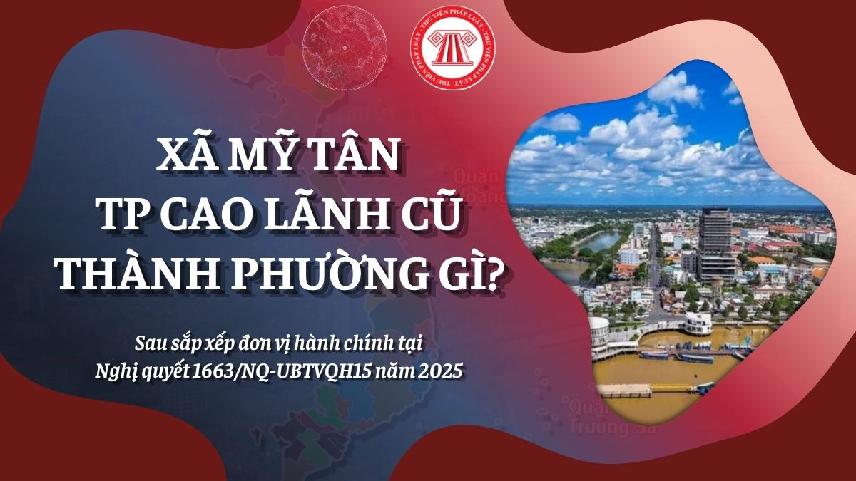 Pháp luật