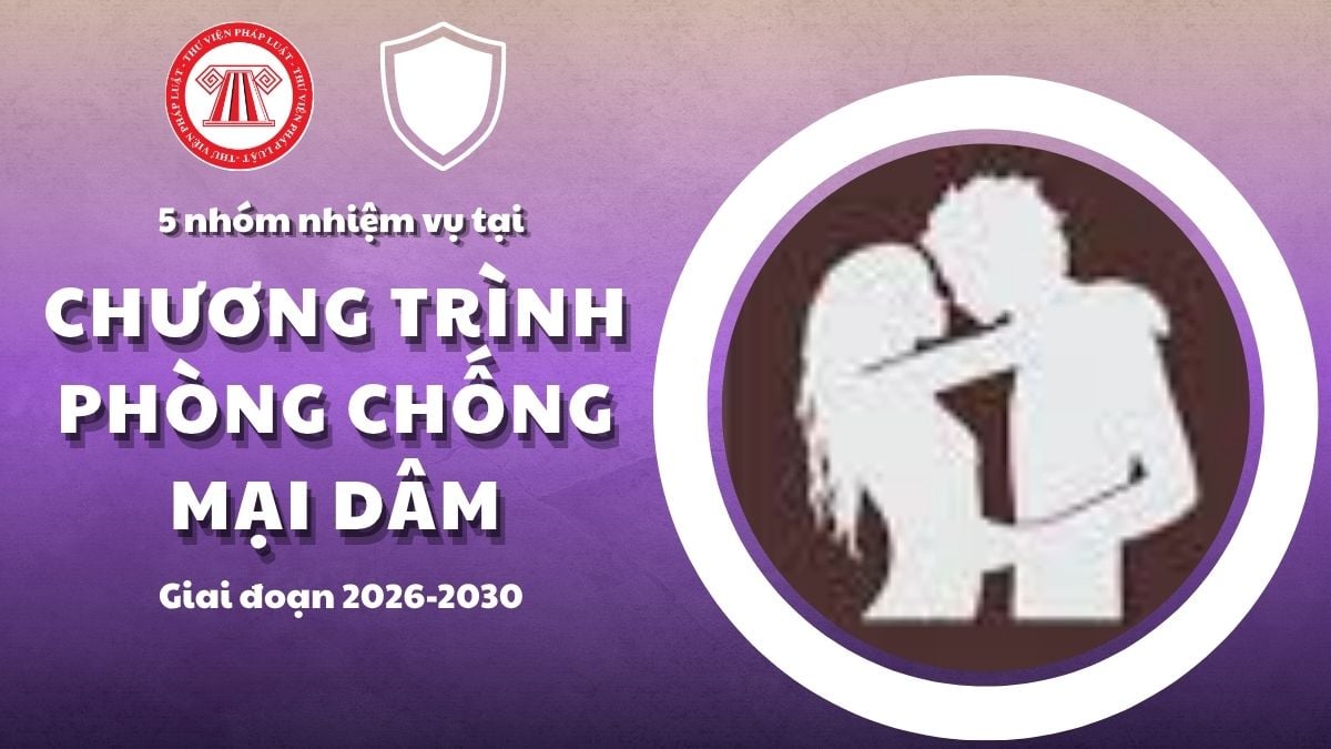 Pháp luật