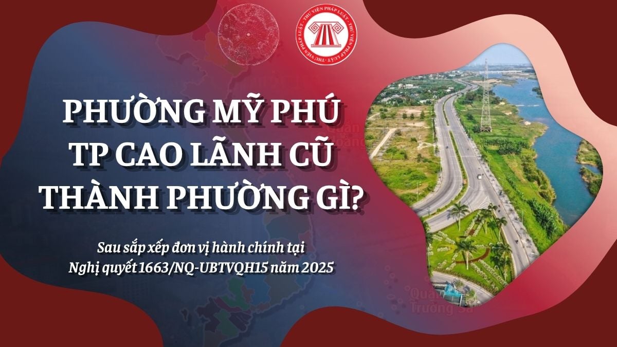 Pháp luật