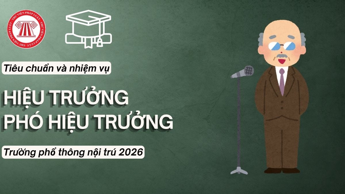 Pháp luật
