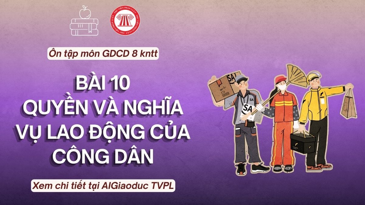 Pháp luật
