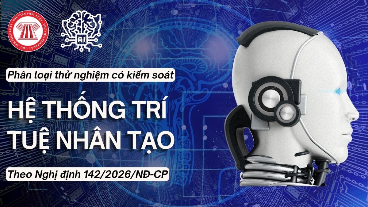 Pháp luật