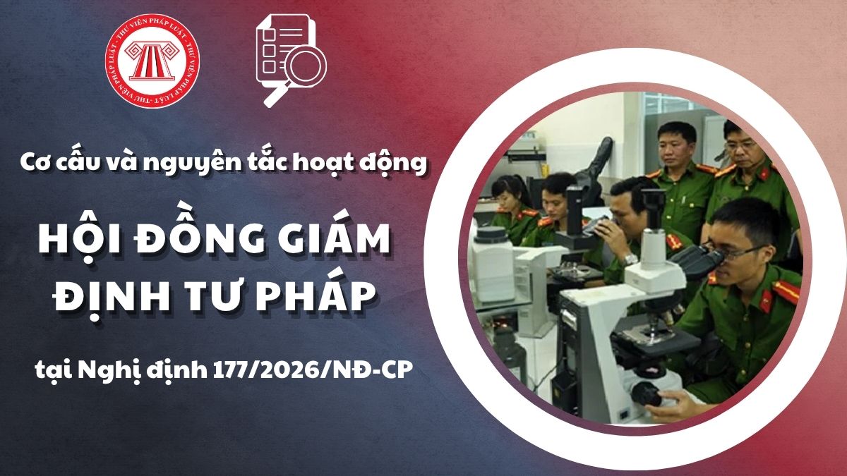 Pháp luật