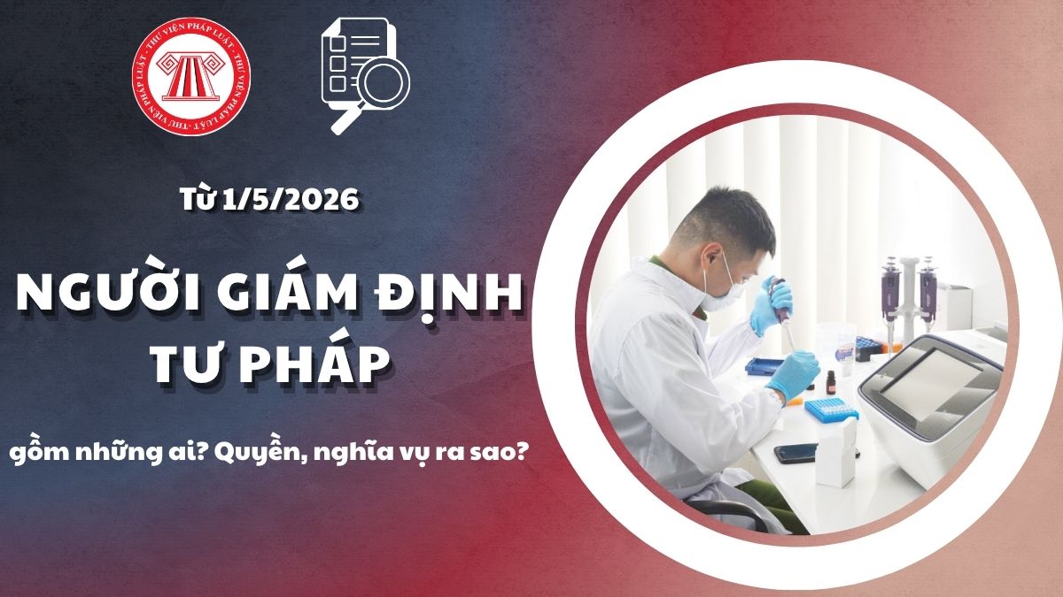 Pháp luật
