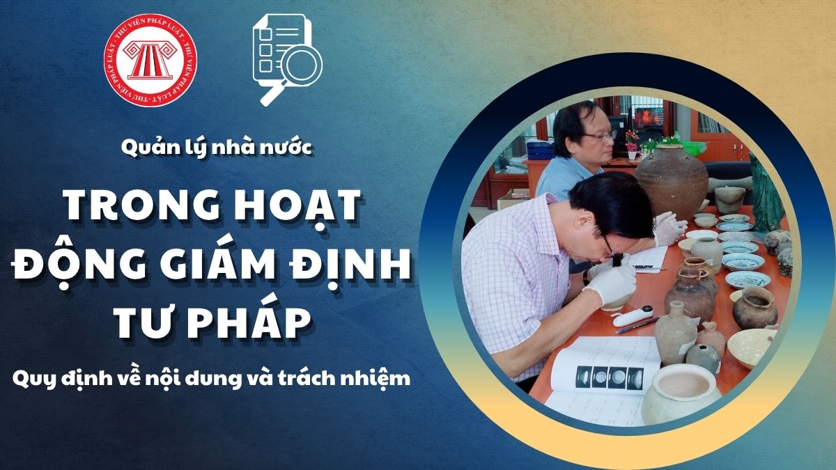 Pháp luật