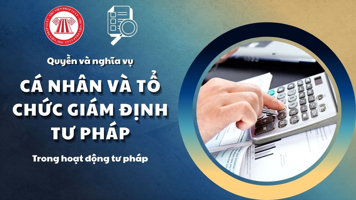 Pháp luật