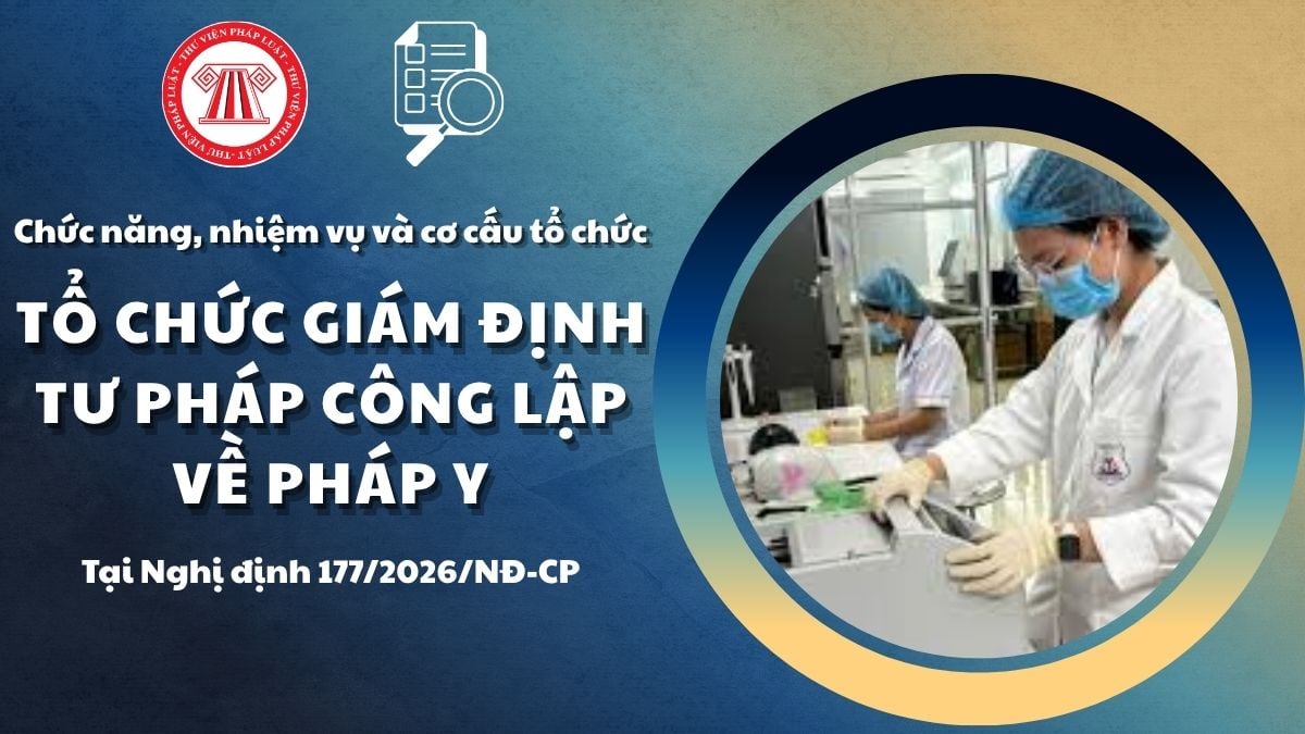 Pháp luật