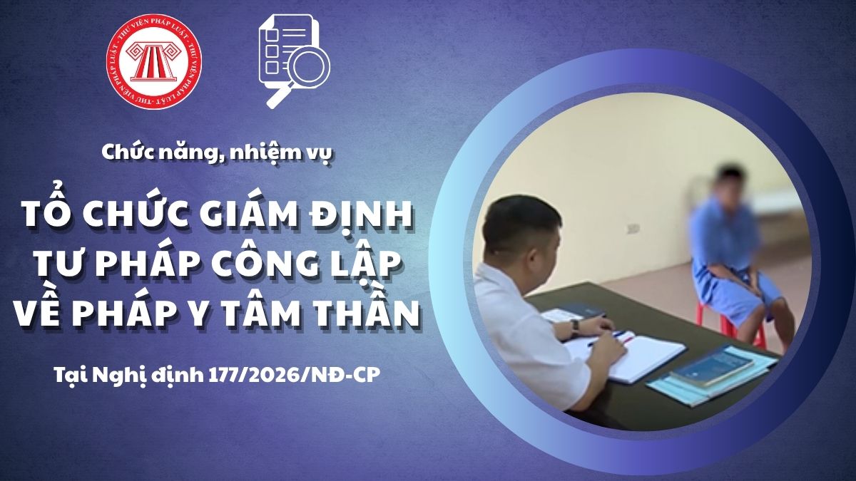 Pháp luật