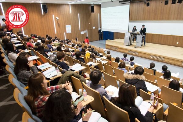 Đại học vùng có được quyết định mở ngành đào tạo trình độ đại học không?