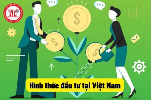 Hình thức đầu tư tại Việt Nam