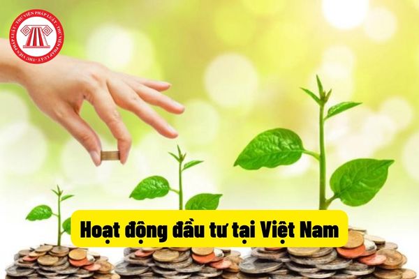 Hoạt động đầu tư tại Việt Nam