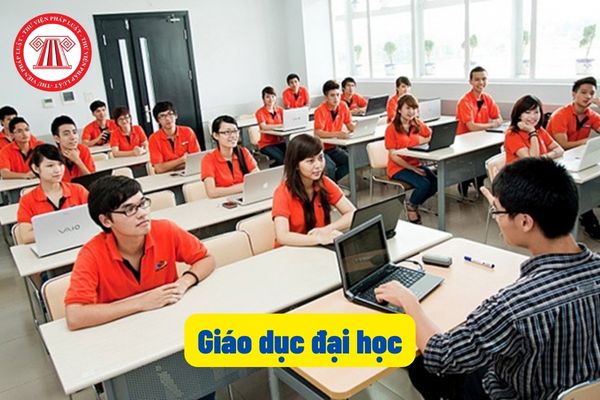 Giáo dục đại học