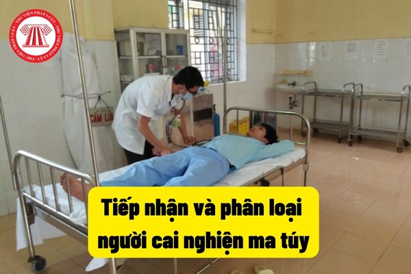 Tiếp nhận và phân loại người cai nghiện ma túy