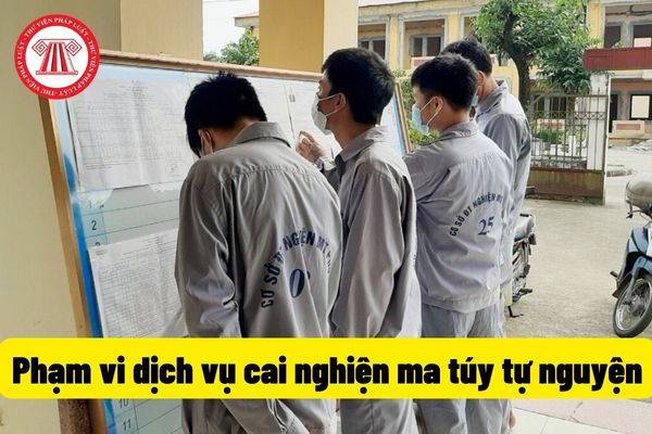 Phạm vi dịch vụ cai nghiện ma túy tự nguyện