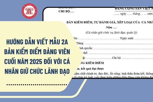 Hướng dẫn viết Mẫu 2A Bản kiểm điểm đảng viên cuối năm 2025 đối với cá nhân giữ chức lãnh đạo?