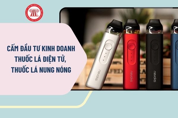 Pháp luật
