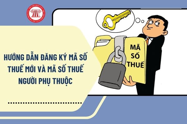 Pháp luật