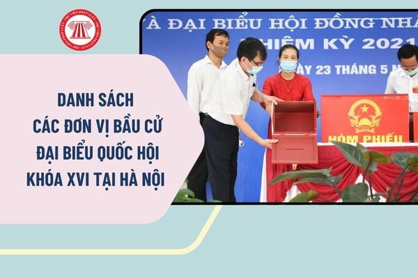 Pháp luật