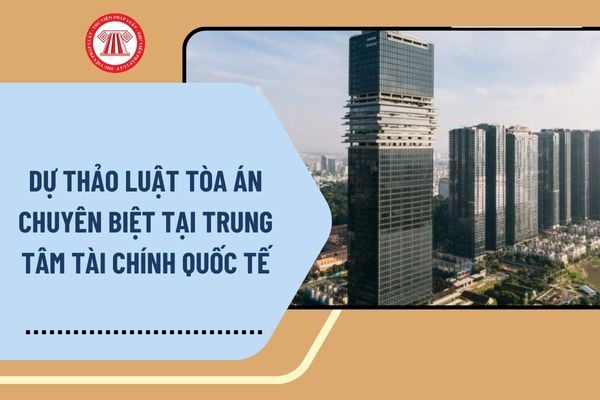 Pháp luật