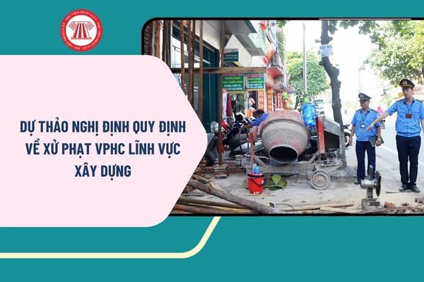 Pháp luật