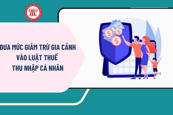 Pháp luật